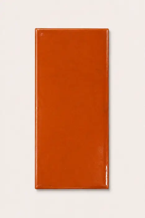 Liso Terracota 10×20